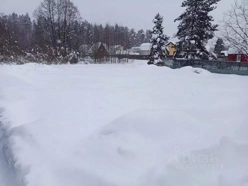 Участок в Московская область, Раменский муниципальный округ, Дорка СНТ ... - Фото 2