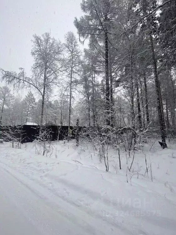 Участок в Иркутская область, Иркутский муниципальный округ, Петровская ... - Фото 1