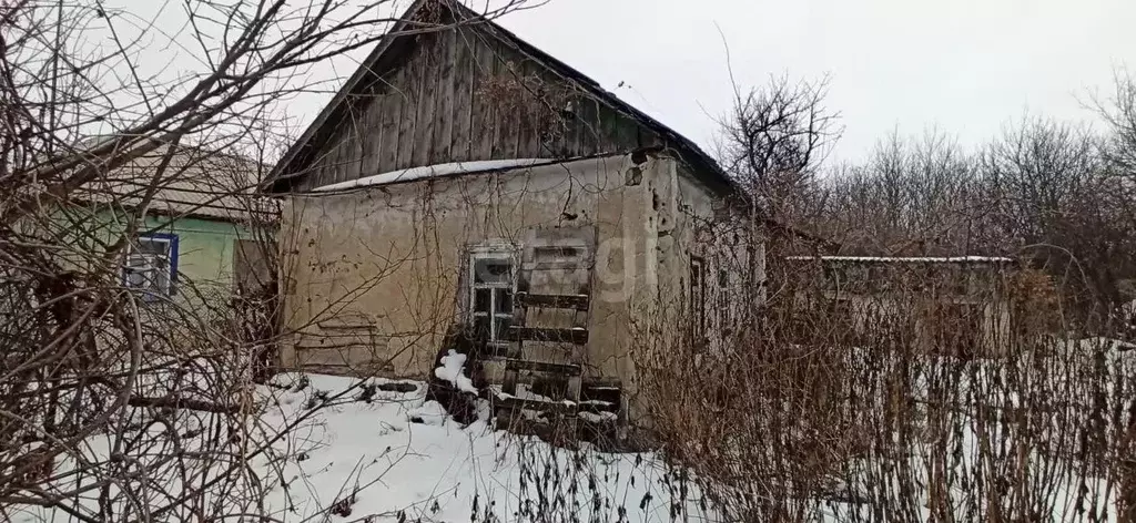 Дом в Белгородская область, Губкинский городской округ, с. Гущино ул. ... - Фото 0