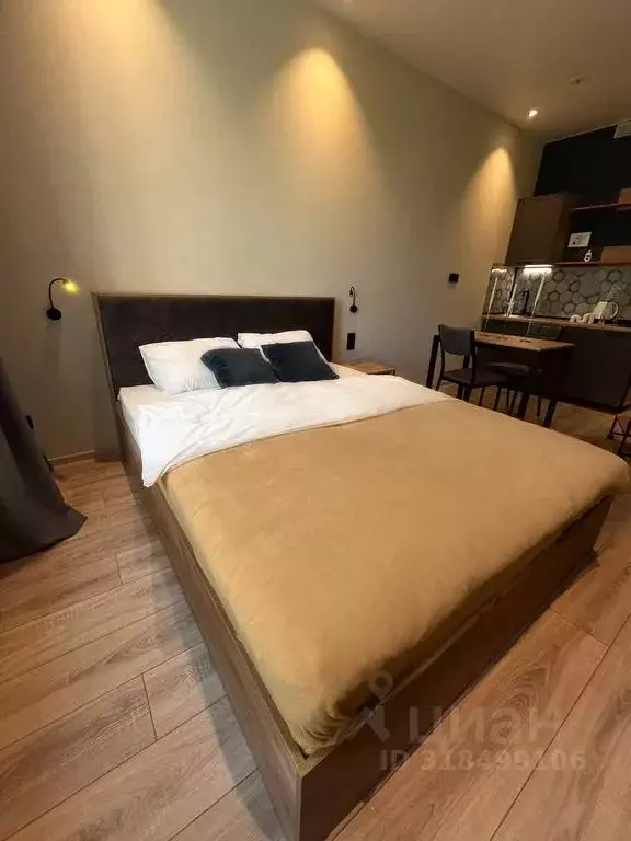 1-к кв. Санкт-Петербург просп. Энергетиков, 8к2 (25.0 м) - Фото 0