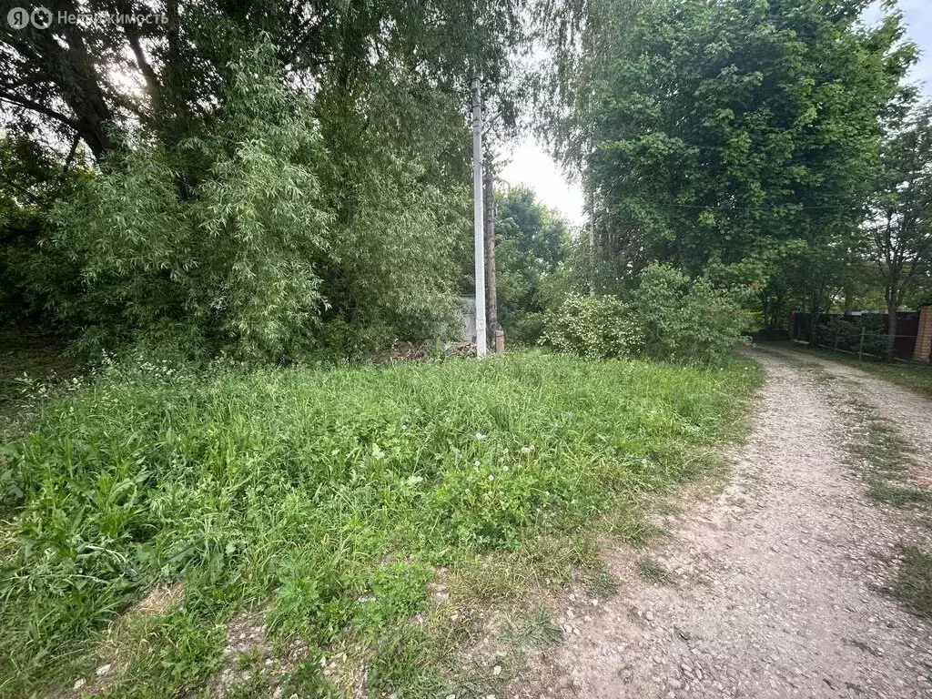 Участок в деревня Городец, Школьная улица, 78А (30 м) - Фото 1