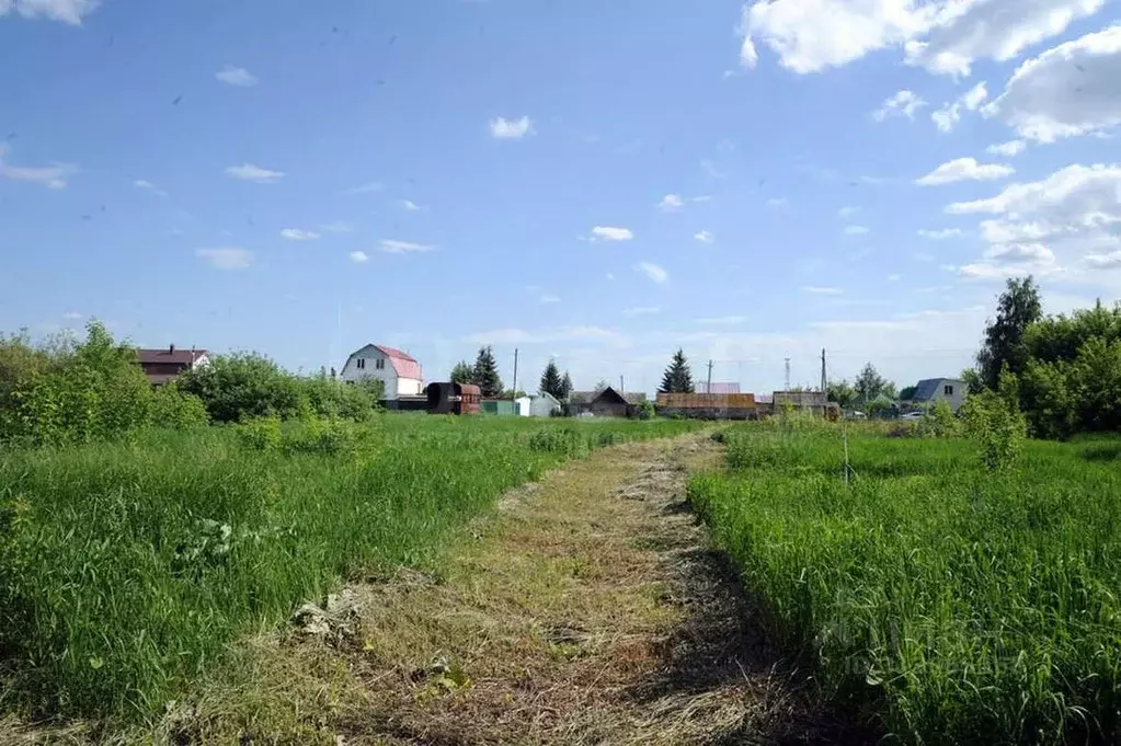 Участок в Воронежская область, Новоусманский район, с. Рогачевка ул. ... - Фото 1