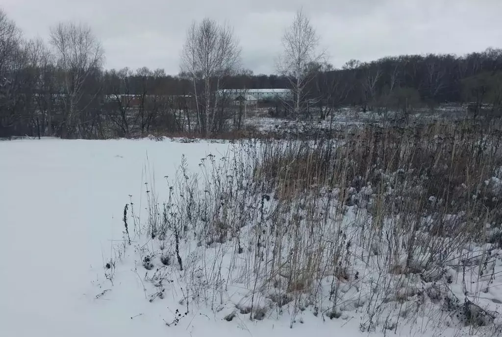 Участок в Московская область, Ступино городской округ, д. Карпово  ... - Фото 0