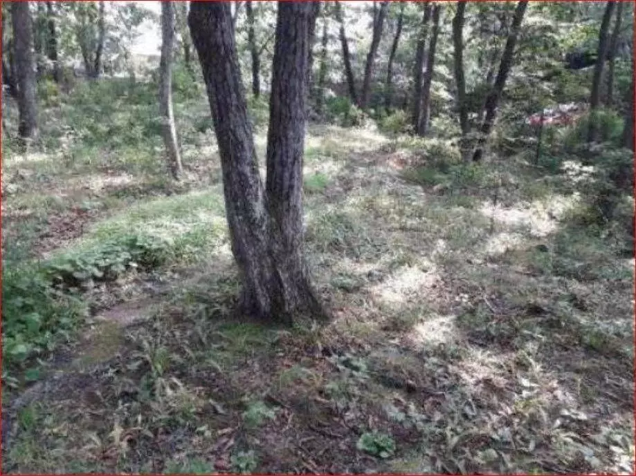 Участок в Приморский край, Владивосток Шахтовая ул., 14 (10.0 сот.) - Фото 1