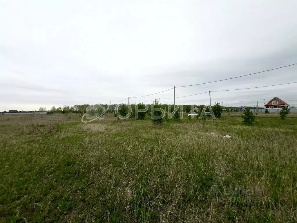Участок в Тюменская область, Тюменский район, д. Елань, Хвойный кп  ... - Фото 0
