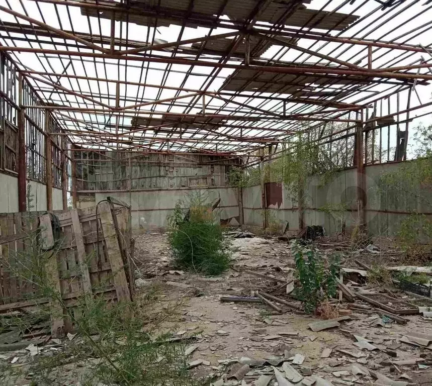 Продается зерноток - Фото 0