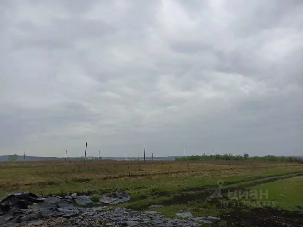 Участок в Оренбургская область, Оренбургский район, Сергиевский ... - Фото 1