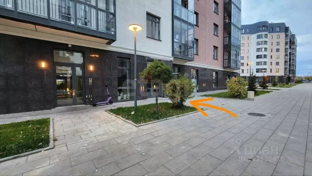 Торговая площадь в Красноярский край, Красноярск ул. Петра Подзолкова, ... - Фото 1