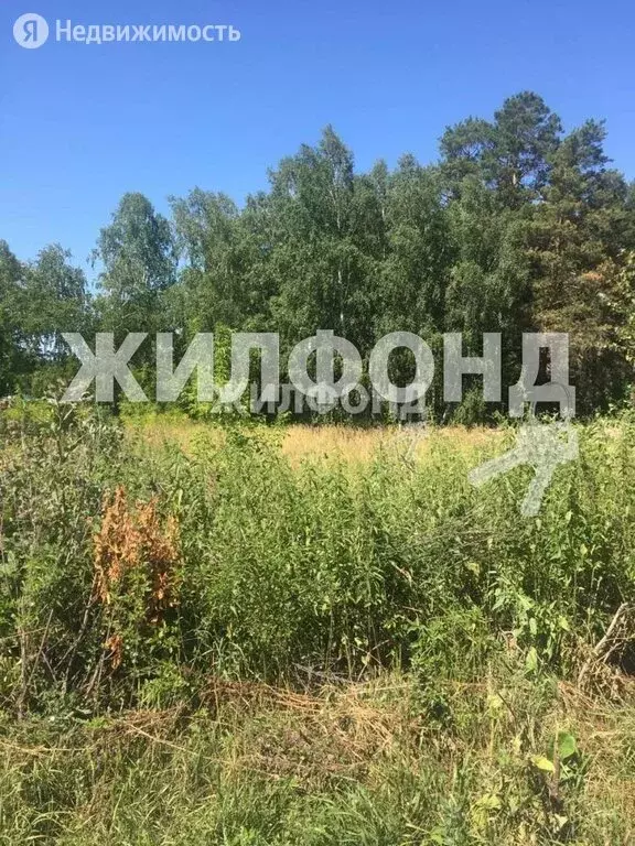 Участок в Быстровский сельсовет, посёлок Факел Революции, улица ... - Фото 1