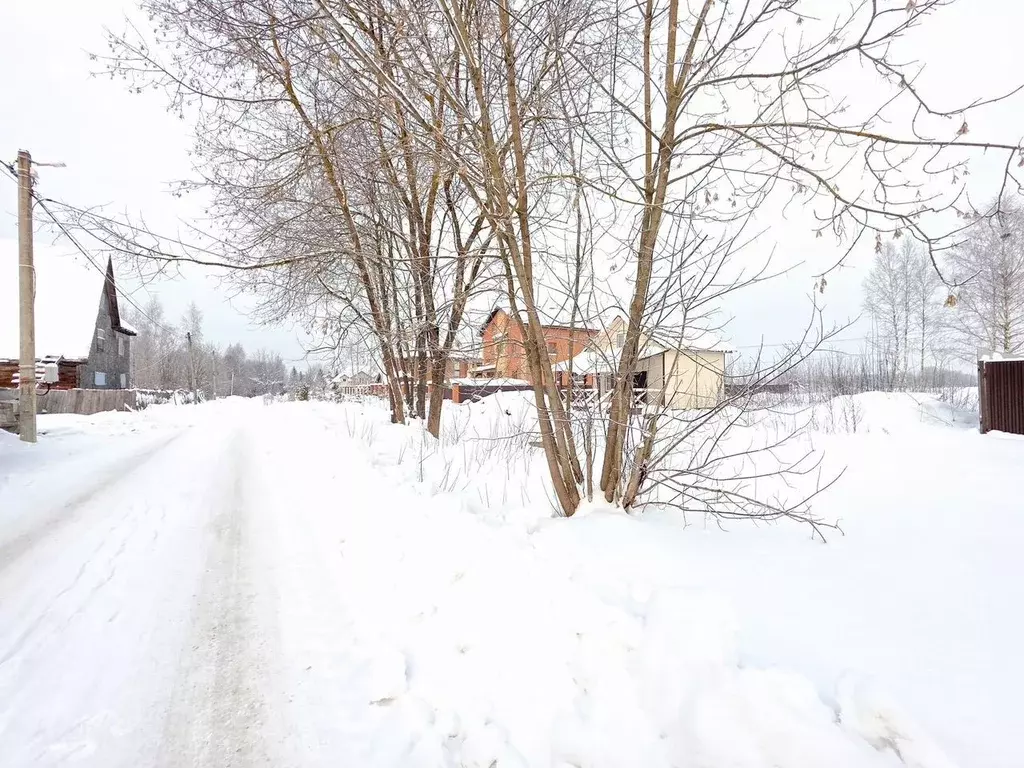 Участок в Московская область, Пушкинский городской округ, с. Рахманово ... - Фото 2