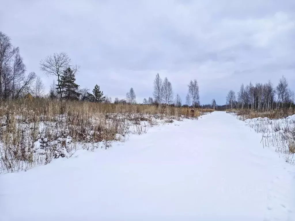 Участок в Тюменская область, Нижнетавдинский район, Тюневское с/пос, ... - Фото 0