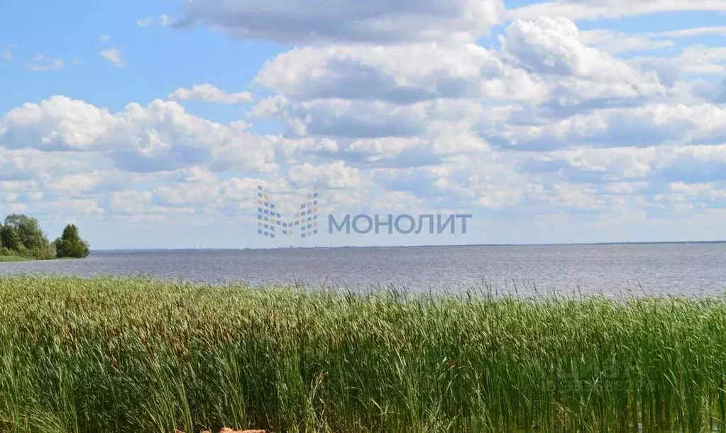 Участок в Нижегородская область, Чкаловск муниципальный округ, д. ... - Фото 1