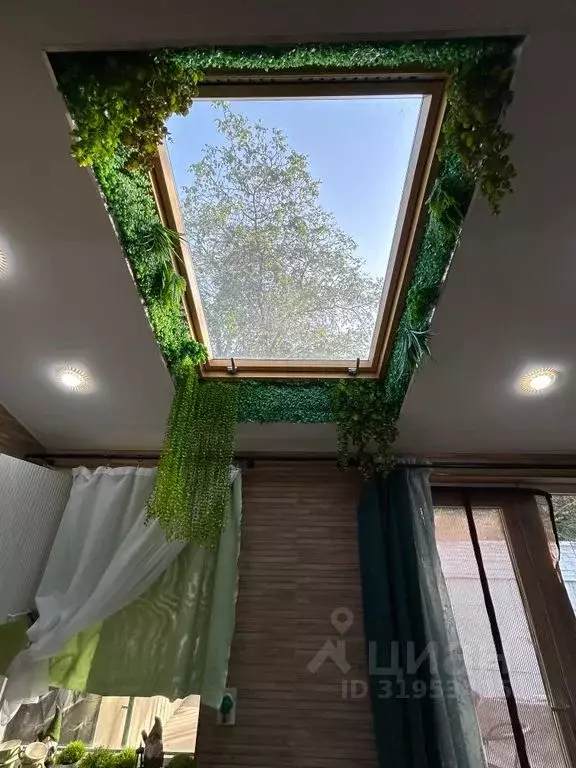 Студия Ростовская область, Таганрог ул. Ленина, 129 (35.0 м) - Фото 1