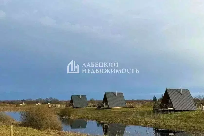 Участок в Калининградская область, Зеленоградский муниципальный округ, ... - Фото 2