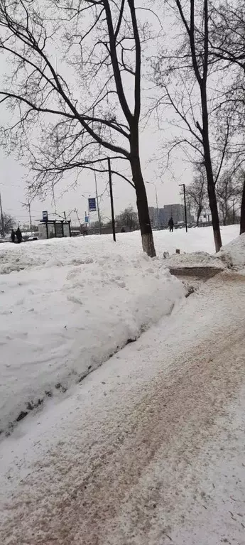 Комната Московская область, Электросталь ул. Сталеваров, 19 (12.0 м) - Фото 2