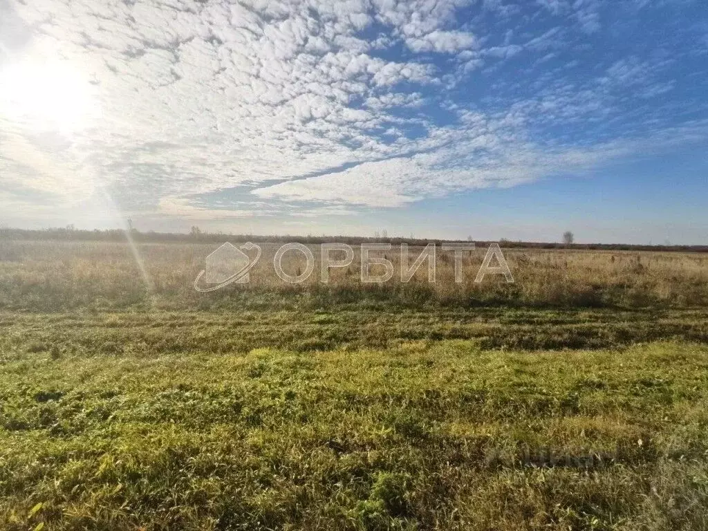 Участок в Тюменская область, Тюмень Р-404, 21-й км, 79 (6.9 сот.) - Фото 1