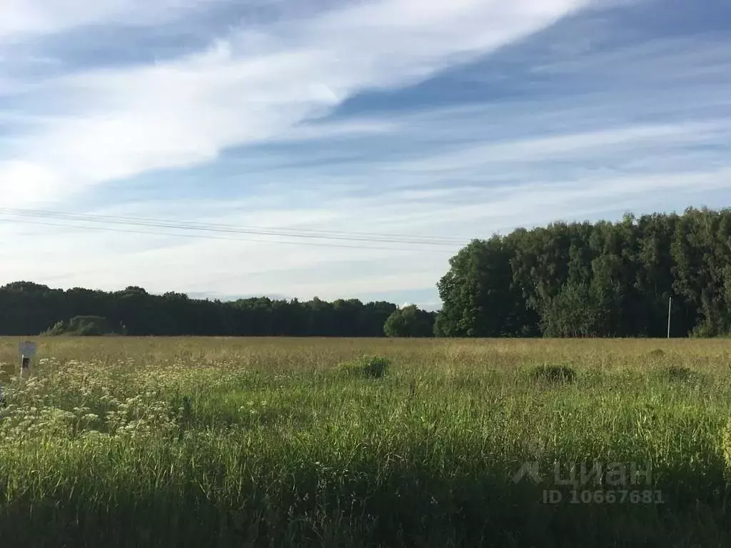 Участок в Тульская область, Тула муниципальное образование, пос. ... - Фото 1