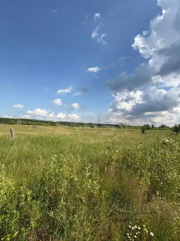Участок в Башкортостан, Стерлитамакский район, Казадаевский сельсовет, ... - Фото 1