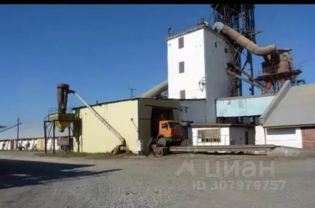 Производственное помещение в Алтайский край, с. Родино ул. Советская ... - Фото 1