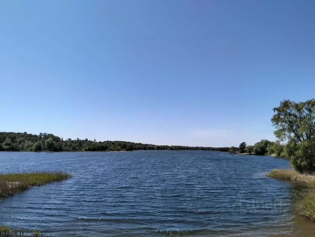 Участок в Калининградская область, Гвардейский муниципальный округ, ... - Фото 2