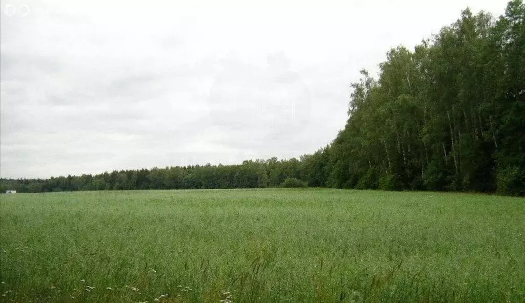 Участок в Екатеринбург, жилой район Центральный (11 м) - Фото 0