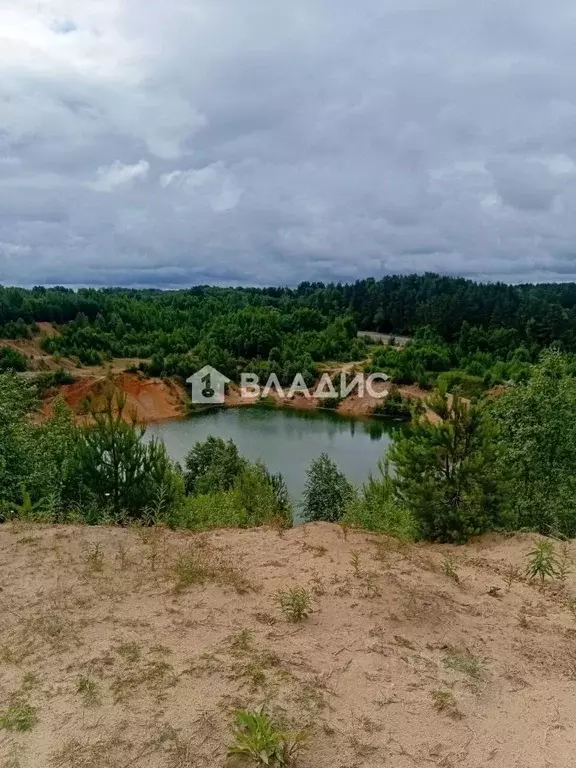 Участок в Ленинградская область, Всеволожский район, Лесколовское ... - Фото 1