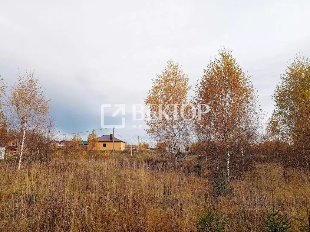Участок в Костромская область, Костромской район, Самсоновское с/пос, ... - Фото 1