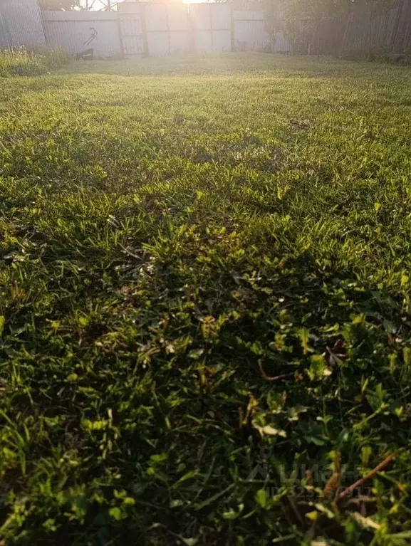Участок в Московская область, Одинцовский городской округ, д. Мамоново ... - Фото 1