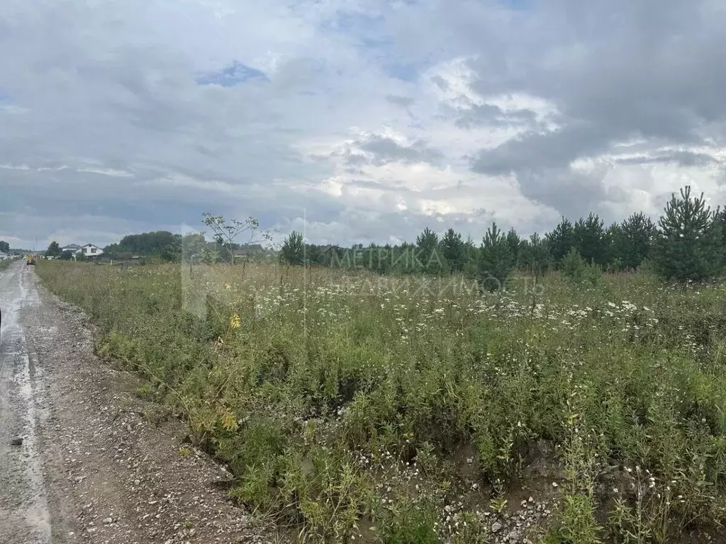 Участок в Тюменская область, Тюменский район, Новокаменский кп ул. ... - Фото 0