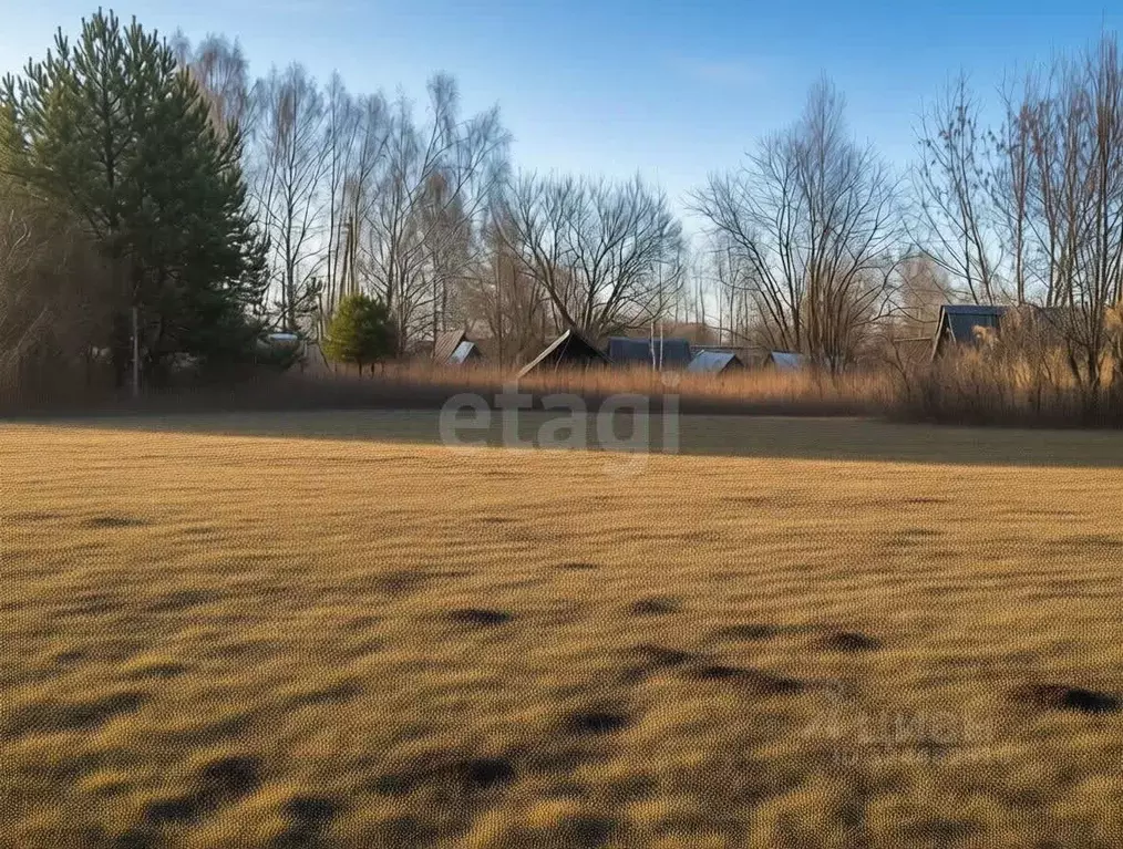 Участок в Ярославская область, Некрасовский муниципальный округ, с. ... - Фото 1