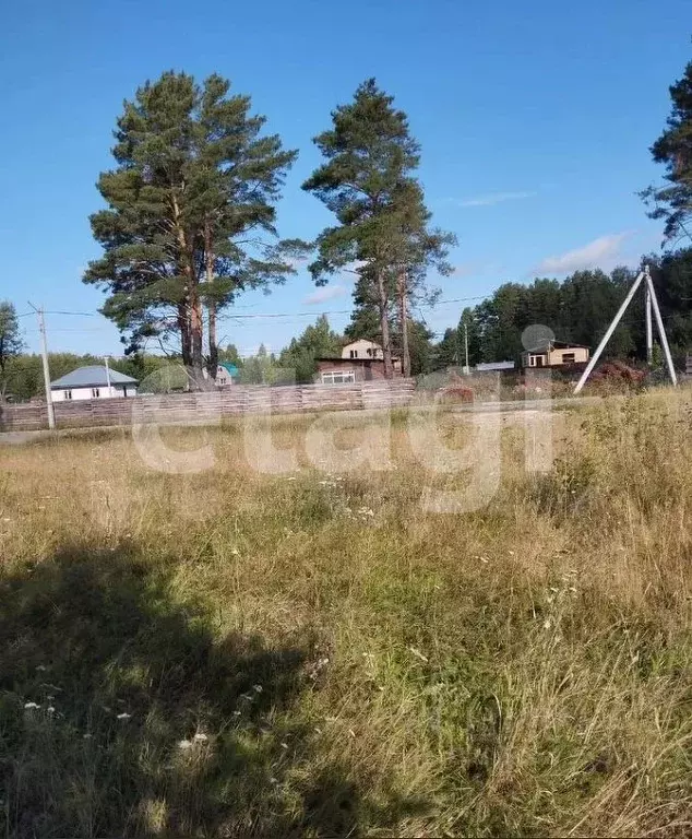 Участок в Томская область, Северск городской округ, пос. Самусь ул. ... - Фото 1