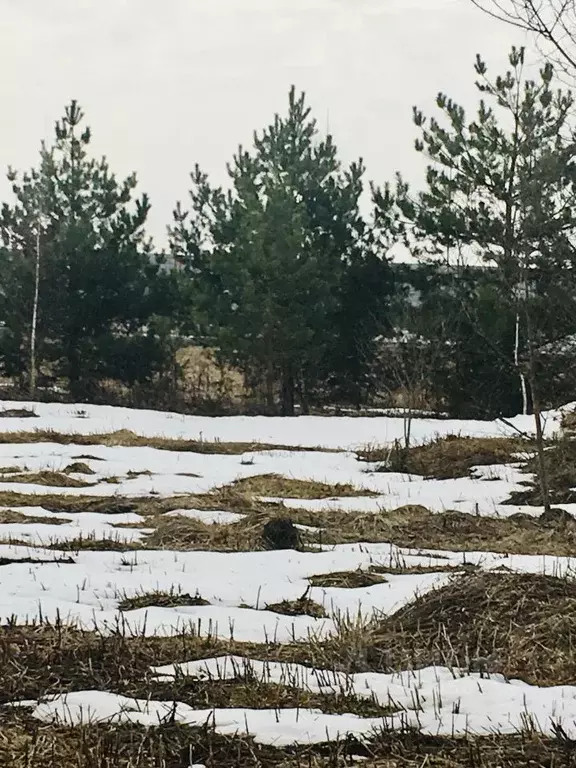 Участок в Московская область, Домодедово городской округ, д. ... - Фото 2
