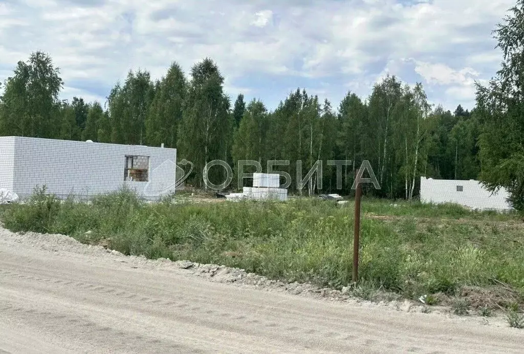 Участок в Тюменская область, Нижнетавдинский район, с. Тюнево  (15.0 ... - Фото 0