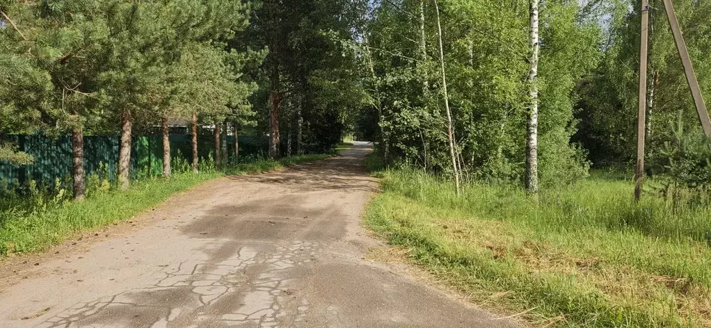 Участок в Смоленская область, Демидовский муниципальный округ, д. ... - Фото 2