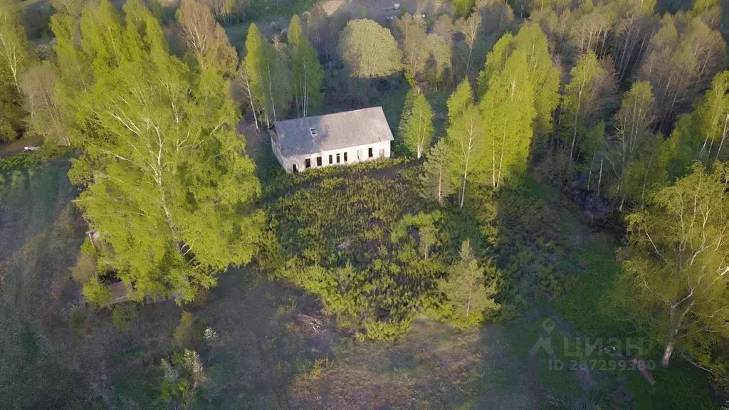 Участок в Псковская область, Куньинский район, Жижицкая волость, д. ... - Фото 0