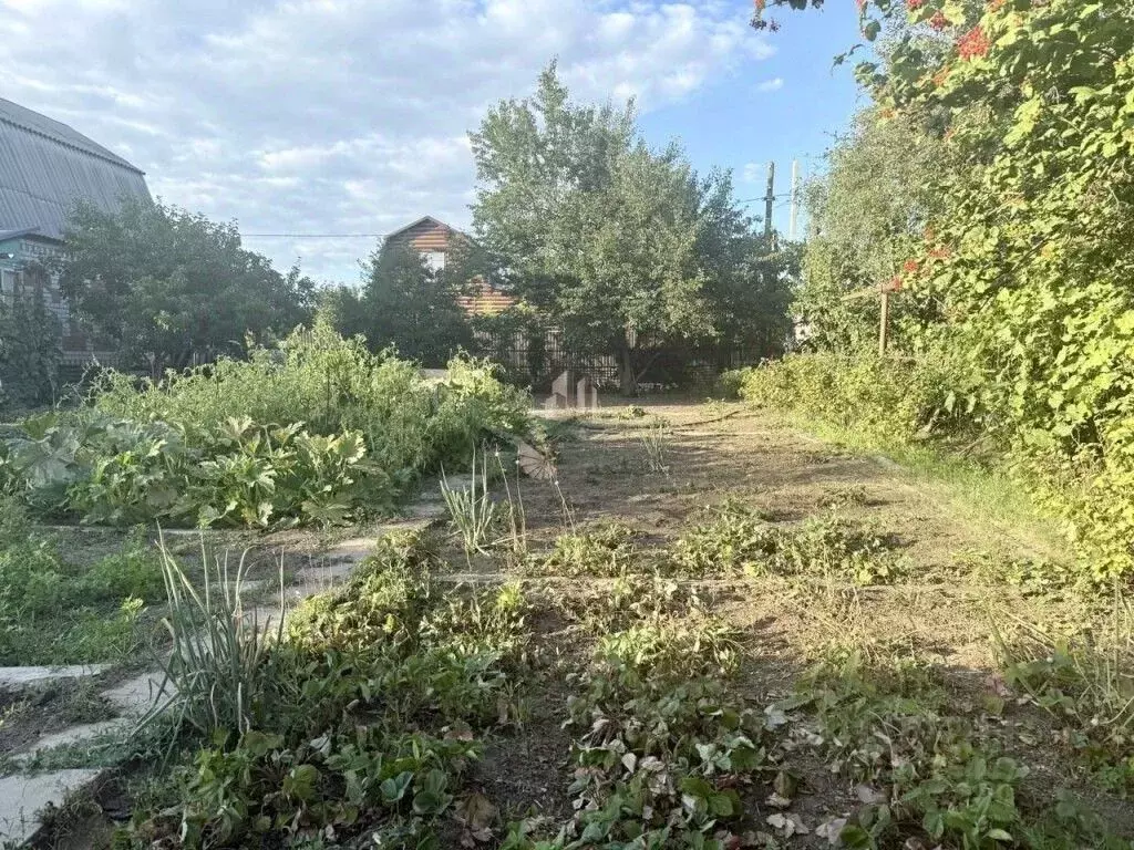 Участок в Саратовская область, Энгельсский район, Красноярское ... - Фото 2