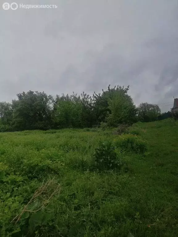 Участок в Артёмовский городской округ, село Кролевцы, Краснознамённая ... - Фото 0