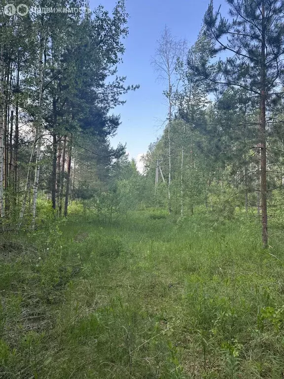Участок в Нижегородская область, Бор (12 м) - Фото 1