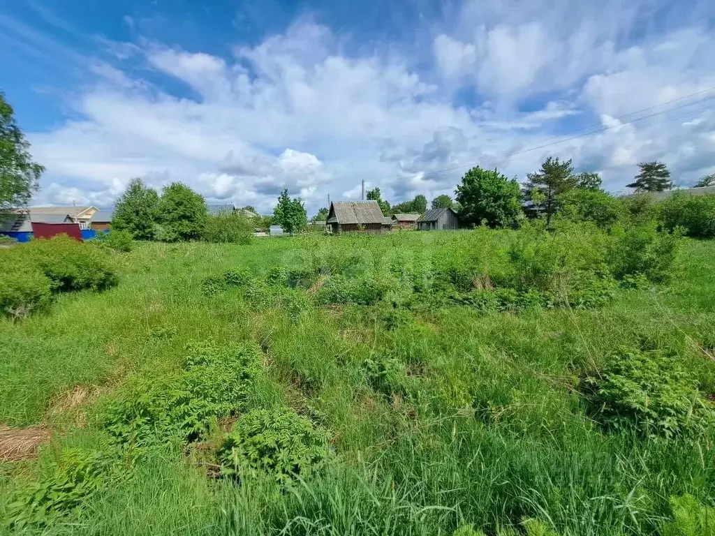 Участок в Вологодская область, Шекснинский муниципальный округ, с. ... - Фото 1