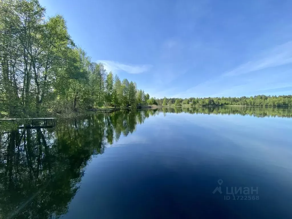 Участок в Псковская область, Гдовский район, Полновская волость, д. ... - Фото 0