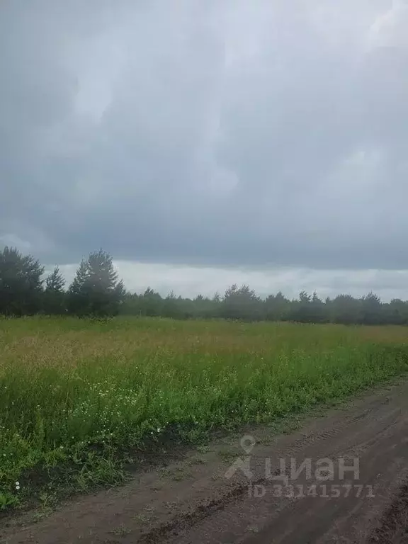 Участок в Курганская область, Кетовский муниципальный округ, с. ... - Фото 1