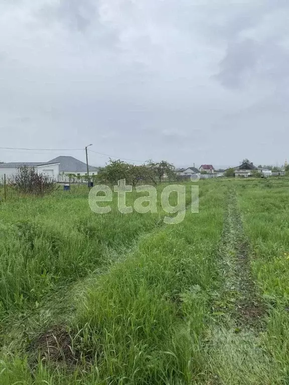 Участок в Белгородская область, Белгородский район, Новосадовское ... - Фото 0