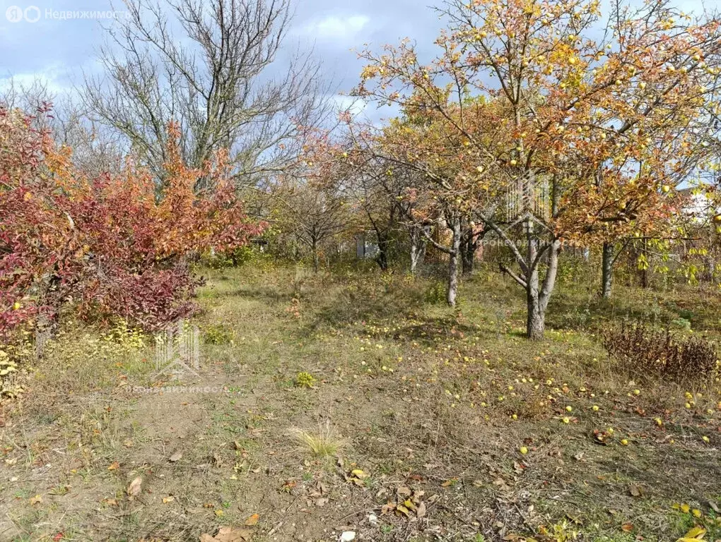 Участок в Ростов-на-Дону, садовое товарищество Защитник, 4-я ... - Фото 2