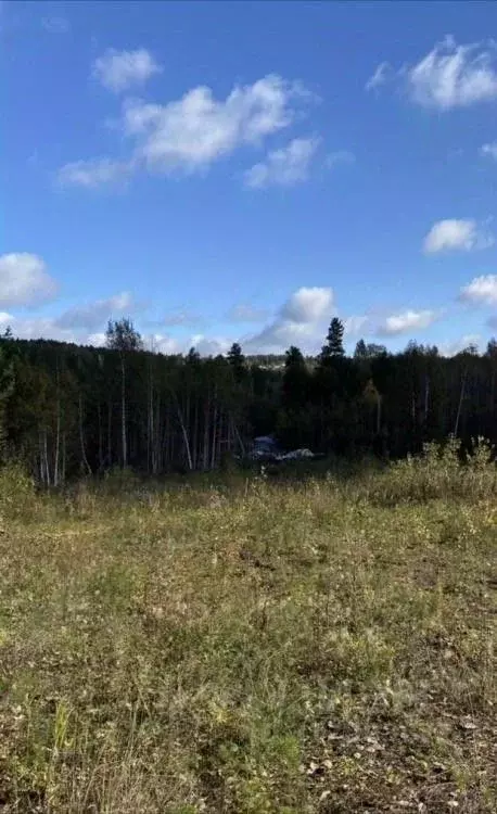 Участок в Иркутская область, Иркутский муниципальный округ, д. ... - Фото 0