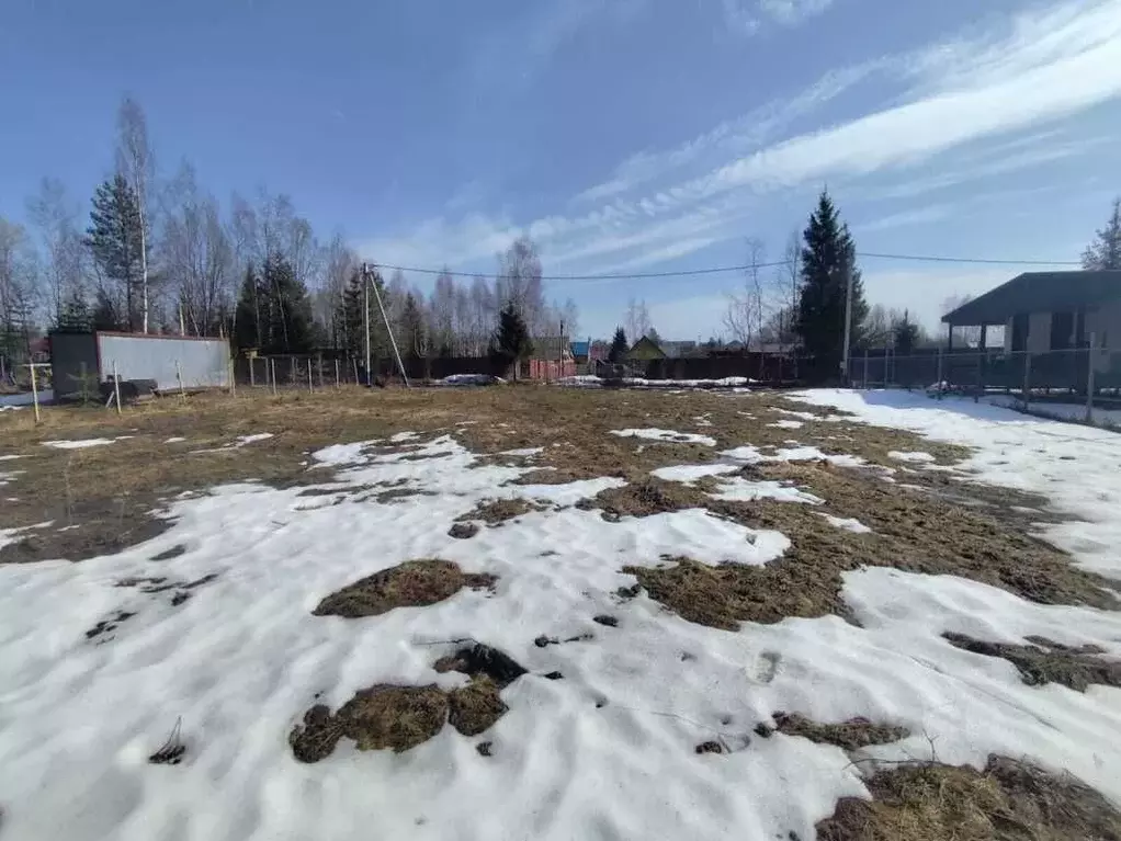 Участок в Московская область, Солнечногорск городской округ, Звездочка ... - Фото 1