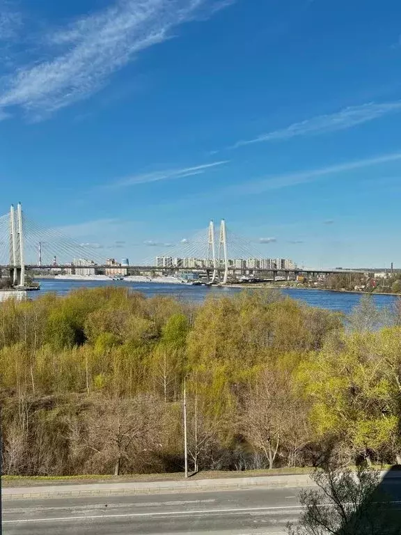 Студия Санкт-Петербург просп. Обуховской обороны, 138к2 (25.0 м) - Фото 0