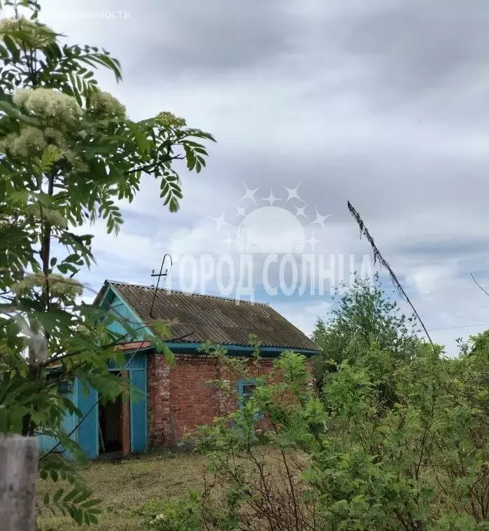 Дом в Омск, территория СОСН Сибирский Садовод-3 (30 м) - Фото 1