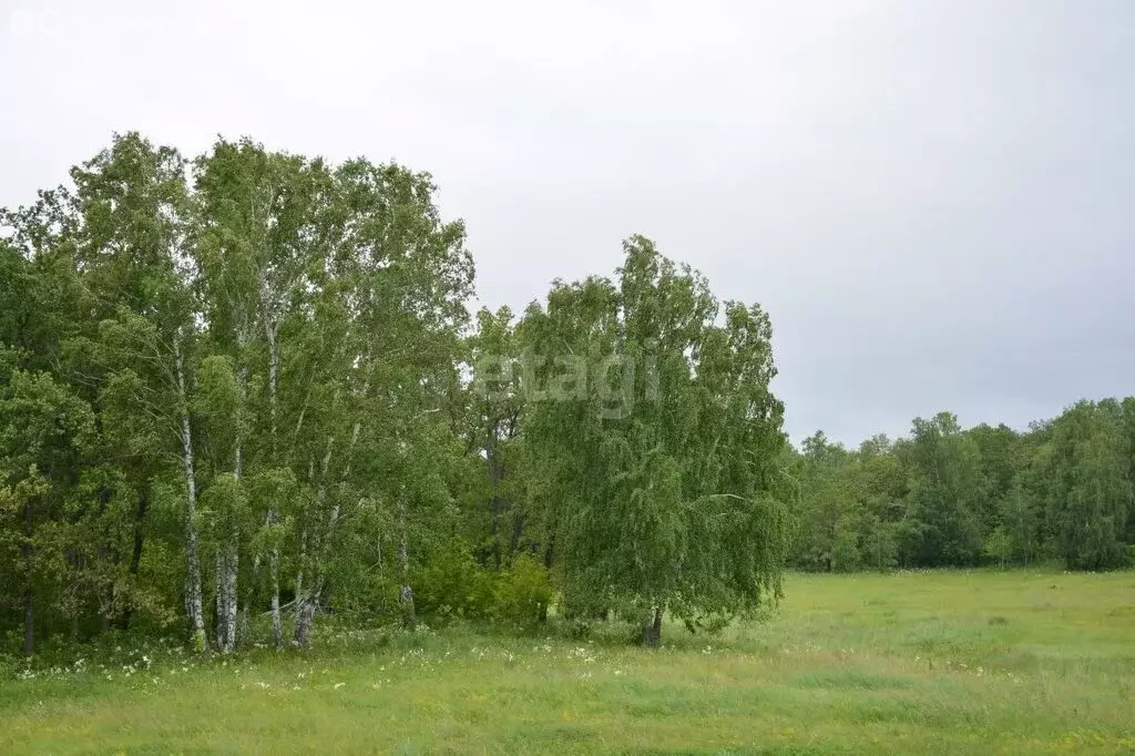 Участок в Стерлитамакский район, Подлесненский сельсовет, село Большое ... - Фото 0