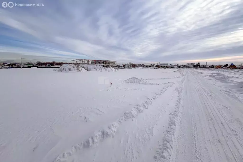 Участок в Новосибирский район, Морской сельсовет, село Ленинское ... - Фото 1