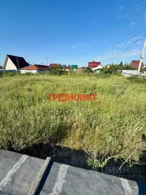 Дом в Новосибирская область, Новосибирский район, Толмачевский ... - Фото 2